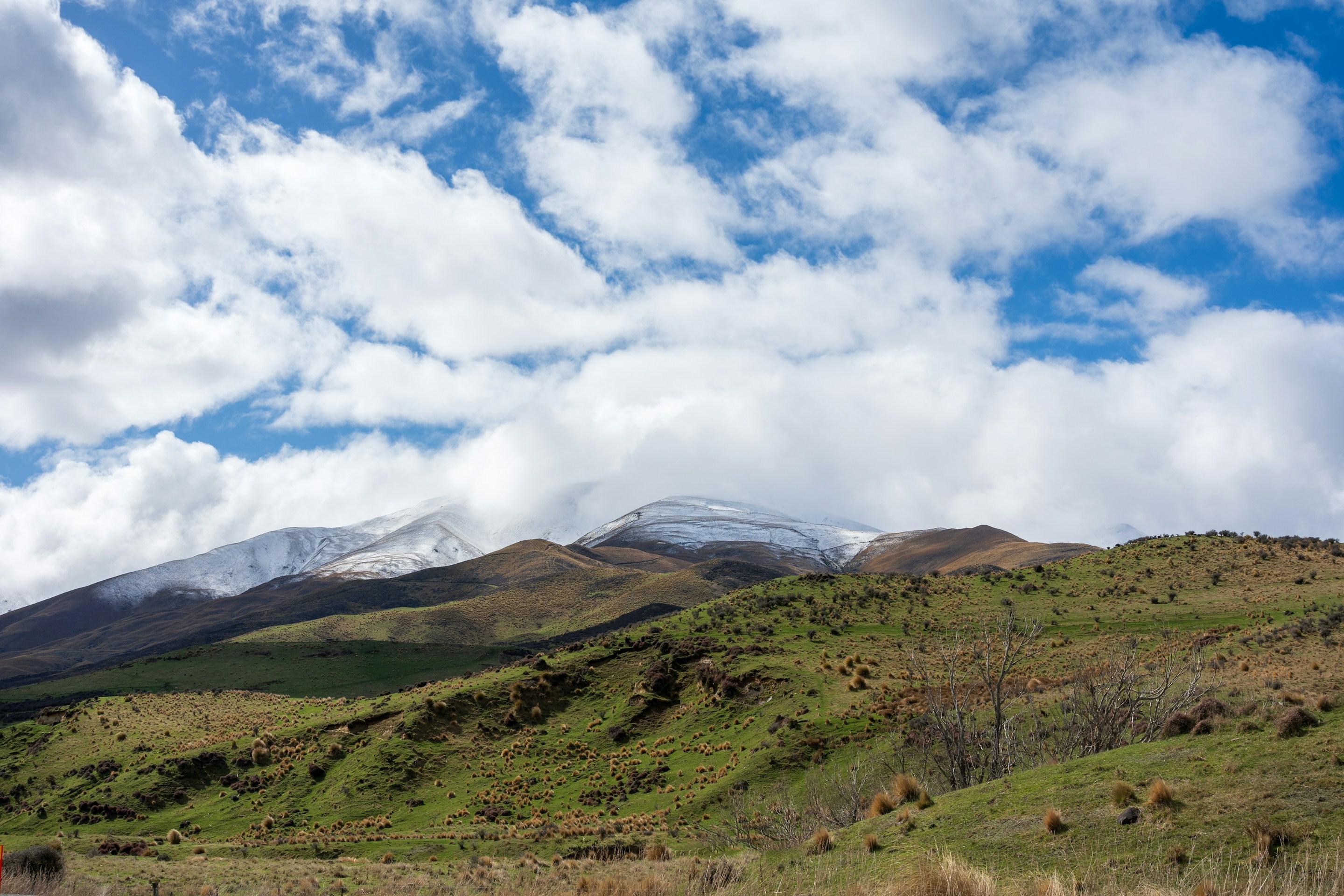 New Zealand